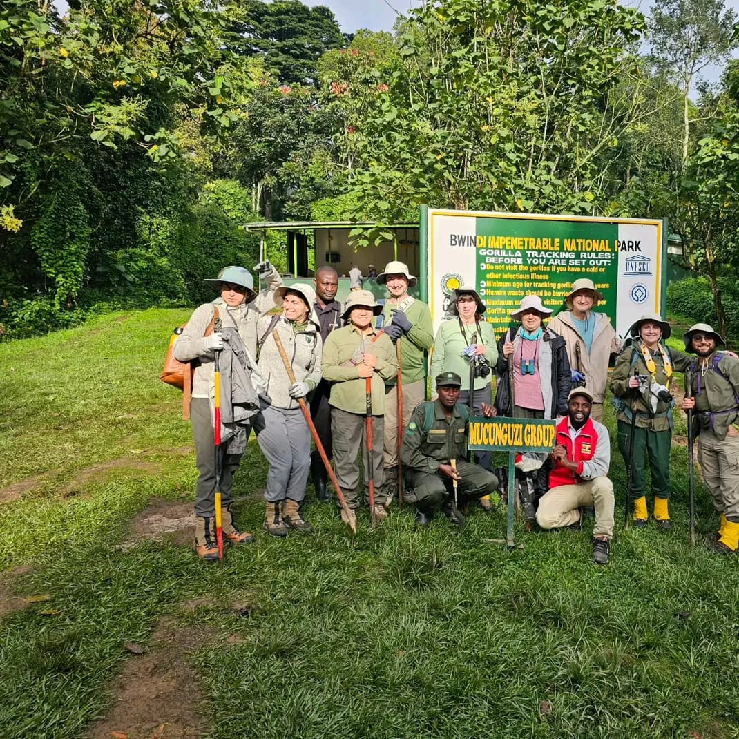 Gorilla trekking group at Bwindi Impenetrable National Park